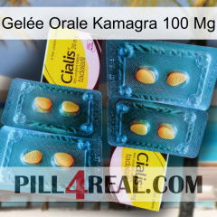 Gelée Orale Kamagra 100 Mg cialis5